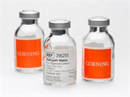 Corning Matrigel Matrix for Organoid Culture