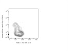 Detection of CD103+ T Cells in Mouse Tissue