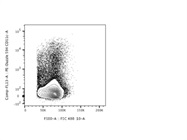 Detection of CD11c+ Cells in Mouse Tissues