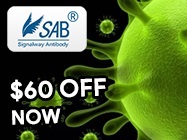 $60 OFF for SAB Antibodies, Proteins and ELISA Kits