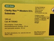 Very Sensitive ECL Substrate for Film-Based Western Blot