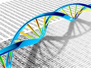 The Genesis of Genotypes