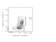 CD5 Antibody Gives Great Results