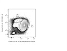 Good Detection of Marginal Zone B Cells