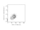 CD29 Antibody Works Great