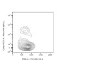 Detection of Integrin Alpha 1 Expressing T Cells