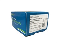 Bicinchoninic Acid (BCA) Protein Assay with BSA Protein Standard $124.00 – $222.00