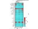 Works Great to Measure Inflammatory Mediators