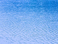 A Quick Primer on Reagent-Grade Water