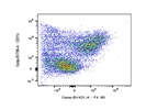 This BioLegend Antibody Is Great for Identifying F4/80+ Cells