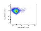 This BioLegend Antibody Stains Ki67+ Cells Very Well