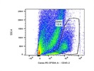 This BioLegend Antibody Stains CD45.2+ Cells Very Well