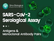 Reagents for Serological Assay of SARS-CoV-2