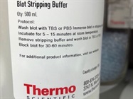 Convenient Pre-Made Stripping Buffer for Western Blotting