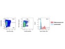 Bright Staining, Good Option for Memory T Cell Staining