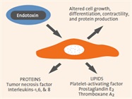 Five Easy Ways to Keep Your Cell Cultures Endotoxin-Free