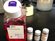 A Medium Base and Supplement for Dopaminergic Neuron Differentiation