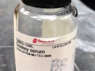 Donkey Serum Is Great for Blocking Specimens for Secondary Antibodies for IHC