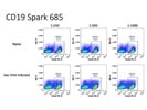 Great Antibody to Detect CD19-Expressing B Cells via Flow Cytometry