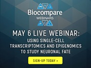 Webinar: Using single-cell transcriptomics and epigenomics to study neuronal fate