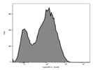 Great Clone for Granzyme B Expression