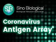 Coronavirus Antigen Array