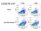 Good Antibody to Detect CD39 Expression on Cells via Flow Cytometry