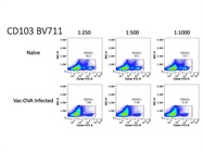 Great Antibody to Detect CD103+ Cells via Flow Cytometry