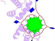 The Best Ways to Study DNA and Protein Interactions