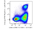 Brilliant Violet 711 Anti-Mouse/Human CD11b Antibody