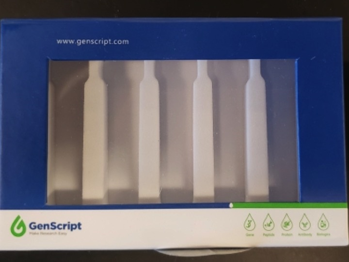 genscript glutathione resin Protein G Supplied as slurry in 20% ethanol GST tag ELISA Detection Kit