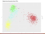 Molecular Characterization of Metastatic Prostate Cancer
