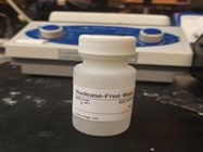Good Nuclease-Free Water