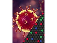 Highly Sensitive COVID-19 Detection Kit Using Crystal Digital PCR
