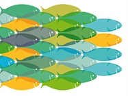Revealing the Transcriptome with RNA-Seq
