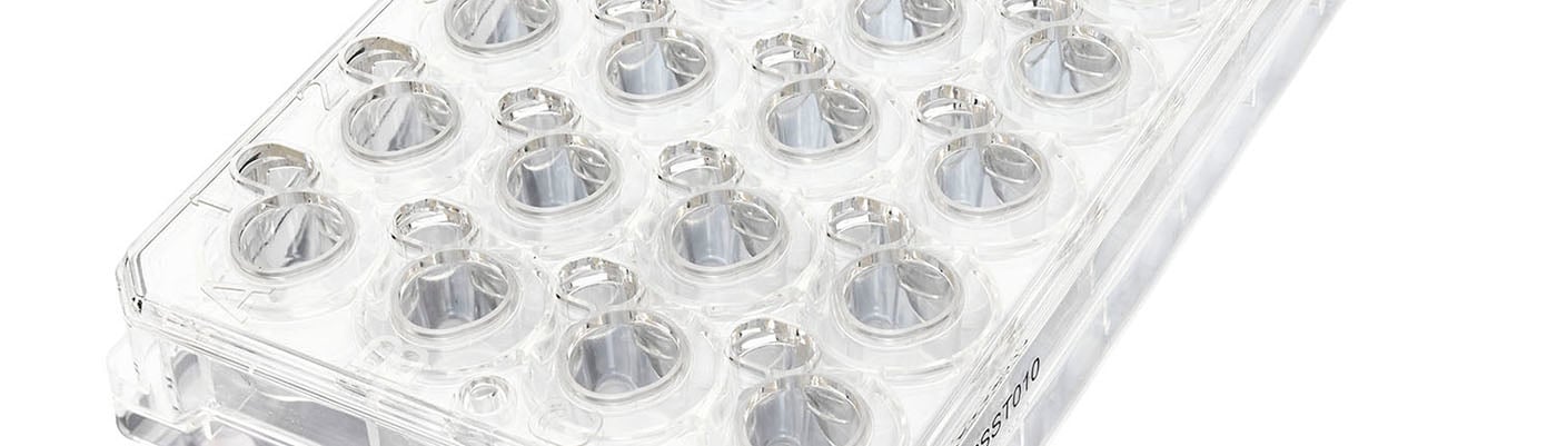  More Like Life: Microporous Membrane-Based Culture Systems