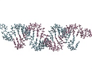 Streamlining RNA Workflows