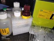 High Quality RNA Extraction Kit