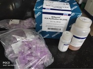 A Must Product for Full-Length cDNA Cloning