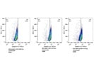 RIP Antibody - Not Good for Flow