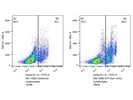 Abcam's Cleaved Caspase-3 Staining Kit Works Great!