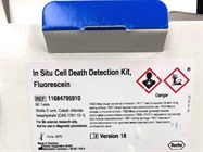 In Situ Cell Death Detection Kit, Fluorescein Great for Observing Apoptosis in Breast and Cervical Cancers