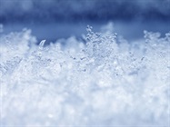 Overcoming Cryopreservation Challenges