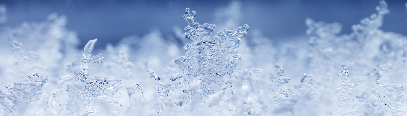  Overcoming Cryopreservation Challenges