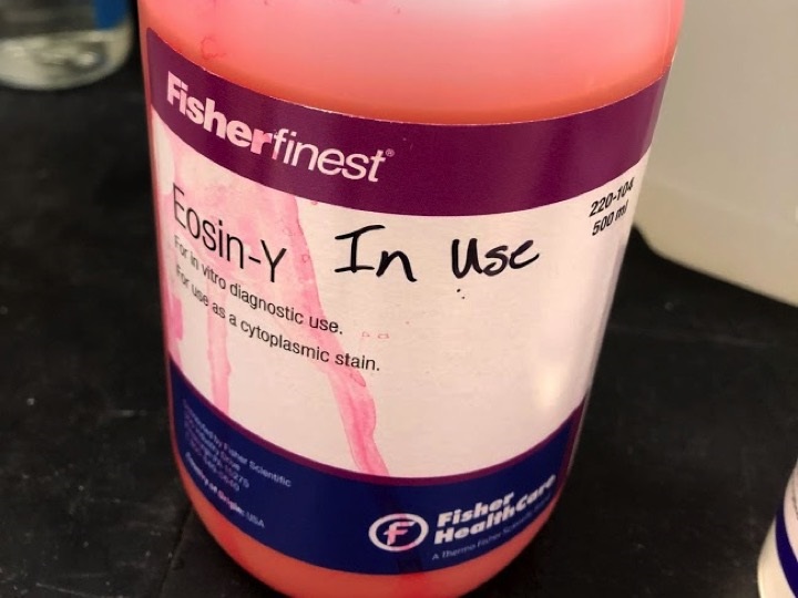 Eosin-Y Stain from Fisher HealthCare Gives Great Staining for Tissue