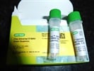 BioRad iTaq Universal SYBR for RealTime PCR Gene Expression Studies