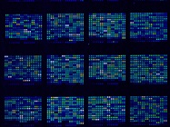 Improving Secretome Analysis