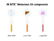 IN SITE™ Metastasis Kit to accelerate cancer research
