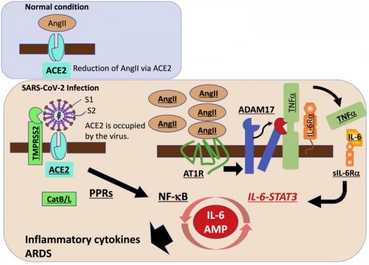cytokine storm