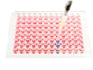 How to Perfect an ELISA